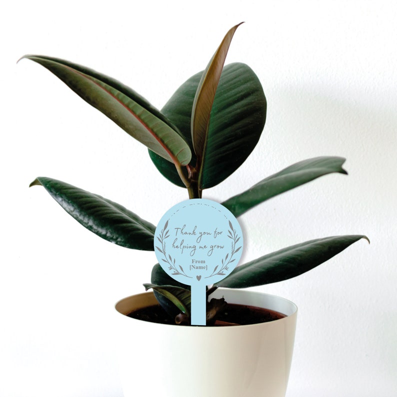 May include: A light blue plant marker with the text "Thank you for helping me grow. From [Name]" in gray lettering. The marker is in the shape of a circle with a wreath design around the text. The marker is inserted into a potted plant.