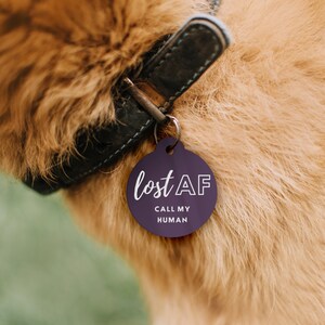 May include: Purple round dog tag with white text that reads "lost AF CALL MY HUMAN".