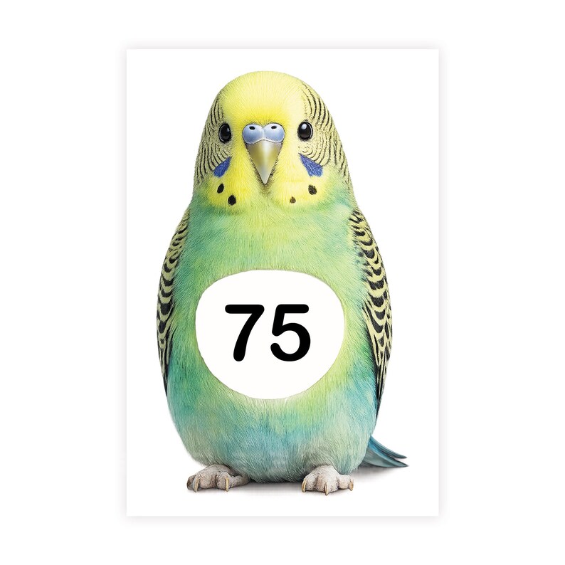 Personalised Wheelie Bin Sticker | Budgie House Number Decal | Waterproof Bird Outdoor Dustbin Label image 9