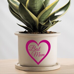 May include: A white ceramic planter with a pink heart and the text "Best Mum" in pink cursive lettering. A green snake plant is growing in the planter.
