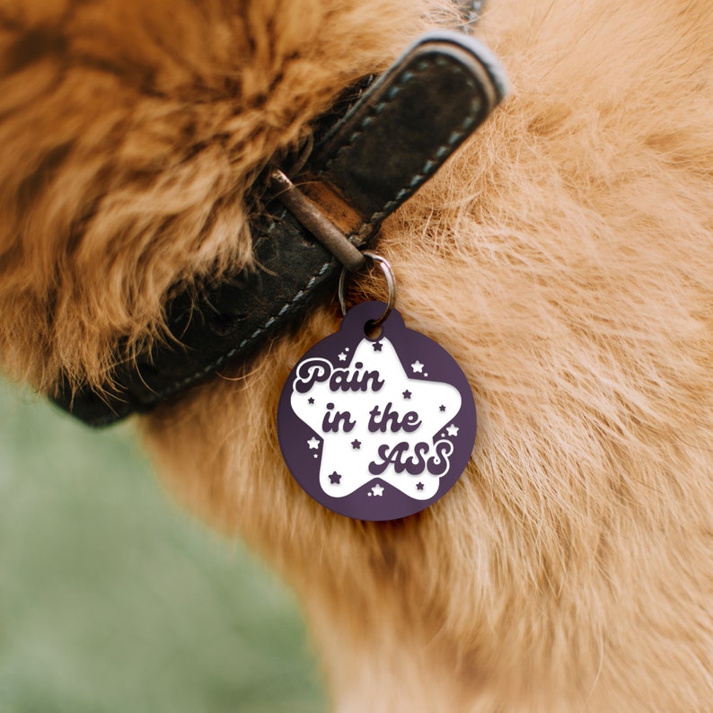 Douleur dans le cul - Collier d'identification de chien personnalisé étoiles : accessoires de sécurité personnalisés pour animaux de compagnie, cadeau unique espiègle pour chien, identification d'animal de compagnie unique et hilarante image 2