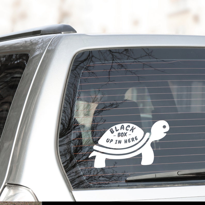 May include: A white turtle sticker on the back window of a silver car. The turtle has the words "Black Box Up In Here" written on its shell.
