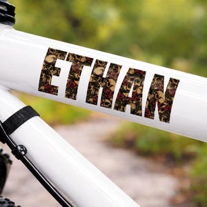 May include: White bicycle frame with the name "ETHAN" in a bold font. The letters are filled with a pattern of skulls and red roses. The background is blurred green.