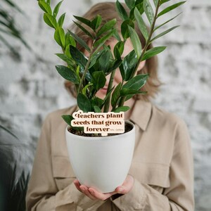 May include: A white ceramic pot with a green plant inside. A wooden sign with the text "Teachers plant seeds that grow forever" is attached to the pot.