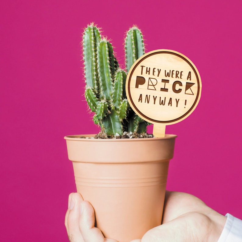 May include: A wooden sign with the text "They were a prick anyway!" in a playful font. The sign is attached to a potted cactus plant with green stems and spines.