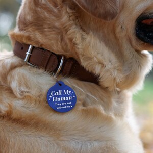 May include: A close-up of a golden retriever wearing a brown leather collar with a blue dog tag that reads "Call My Human. They are lost without me."