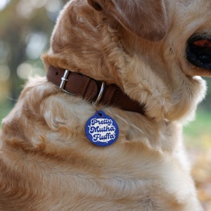 May include: A golden retriever dog wearing a brown leather collar with a blue and white dog tag that reads "Pretty Mutha Fluffa".