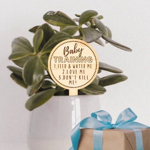 May include: A wooden plant stake with the words "Baby Training" and care instructions: "Feed & Water Me," "Love Me," and "Don't Kill Me!" The stake is in a white pot with a green plant, and a wrapped gift with a blue ribbon is in the foreground.