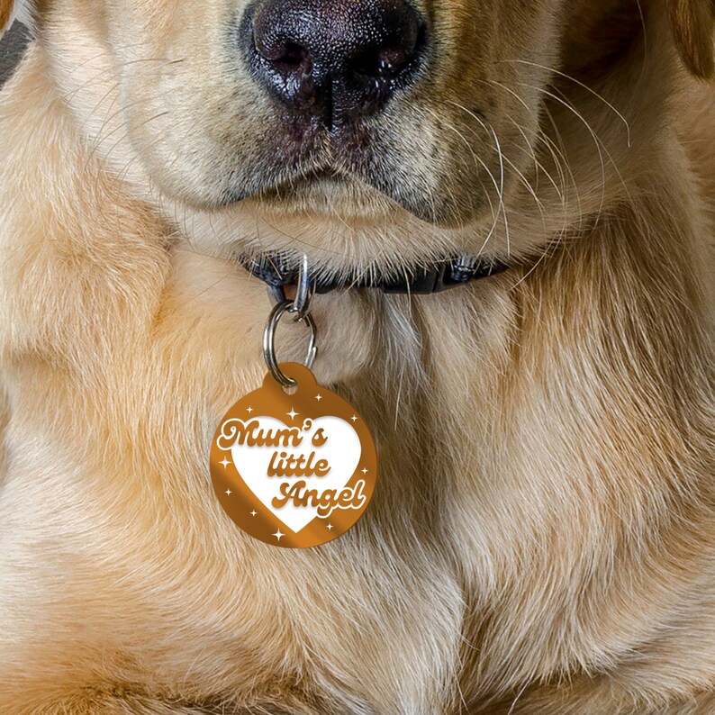 May include: A gold heart-shaped dog tag with the text "Mum's little Angel" in white lettering. The tag is attached to a black dog collar.