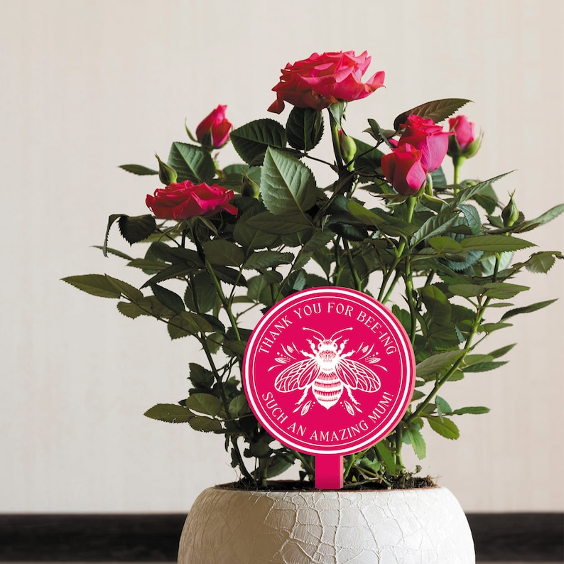 May include: A pink plant stake with a white bee design and the text "Thank you for being such an amazing Mum!"  The stake is in a pot with a pink rose bush.