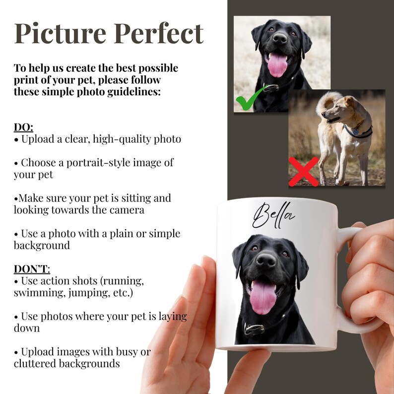 May include: White ceramic mug featuring a black Labrador Retriever portrait with the name "Bella" in cursive. The image also includes photo guidelines for pet portraits, with examples of acceptable and unacceptable photos.