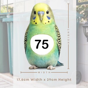 May include: A vibrant green and yellow parakeet with a blue beak and accents. The bird has a white circle with the number 75 on its chest. The image shows the parakeet's dimensions: 6.9 inches wide and 11.4 inches high.