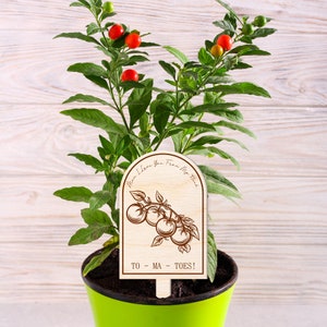 Mother's Day Tomato Pun Plant Tag: Personalised Mother's Day Gift, Cute Plant Accessory, Gift For Mum, Plant Lover, Mum Appreciation afbeelding 3