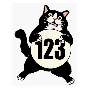 May include: A cartoon illustration of a black and white cat holding a cream-colored circle with the number 123 in bold black font. The cat has yellow eyes and a surprised expression.