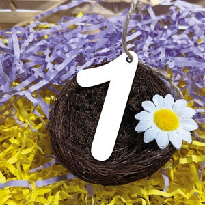 May include: A white number 1 tag hangs above a brown nest with a daisy and a twine string. The nest rests on a bed of yellow and purple shredded paper.