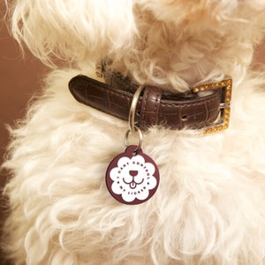 May include: A white dog wearing a brown leather collar with gold-toned embellishments and a burgundy dog tag that reads "I can't control my licker".