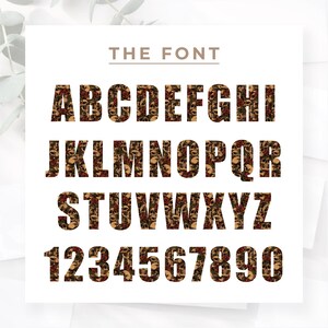 May include: A full alphabet and number set, each character filled with a pattern of skulls and roses. The text "THE FONT" is above the characters. The letters and numbers are in a bold, sans-serif style, with a dark brown and red colour scheme.