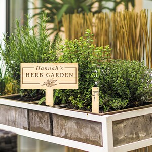May include: A wooden sign with the text "Hannah's Herb Garden" and a small wooden sign with the text "Thyme" in a planter with rosemary, oregano, and thyme plants.