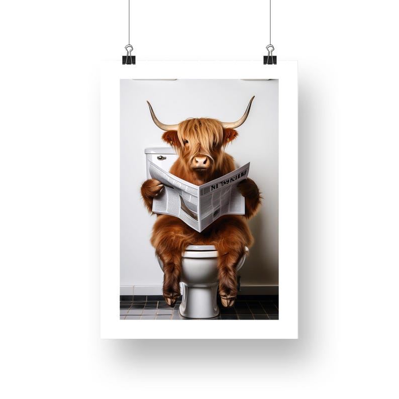 Puede incluir: Un p&oacute;ster humor&iacute;stico que muestra una vaca de las Tierras Altas sentada en un inodoro y leyendo un peri&oacute;dico. La vaca tiene un pelaje largo y lanudo de color marr&oacute;n rojizo y cuernos grandes. El peri&oacute;dico est&aacute; abierto y el texto es visible. El fondo es una pared blanca lisa.