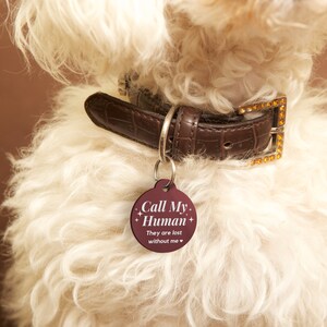 May include: A brown leather dog collar with a burgundy dog tag that reads "Call My Human. They are lost without me."