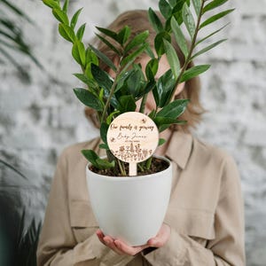 K&ouml;nnte beinhalten: Ein Pflanzen-Schild aus Holz mit dem Text "Our family is growing Baby Jones 07/04/2023" und einem Bienen- und Blumendesign.