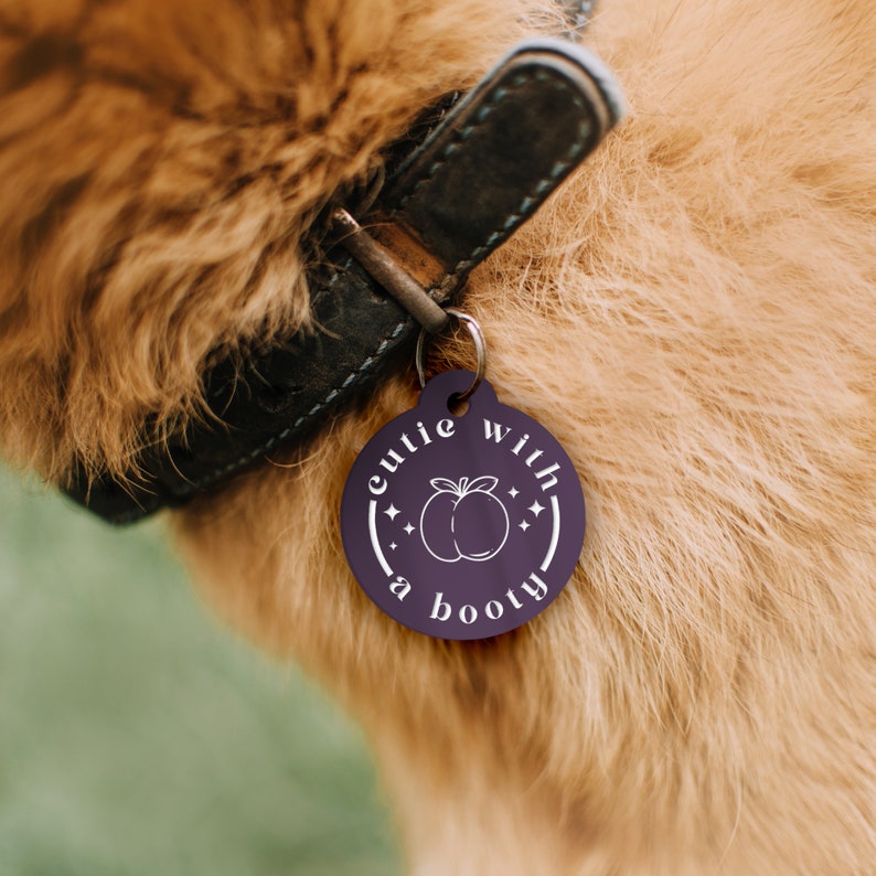 May include: A circular purple pet tag with the words "cutie with a booty" in white. The tag has a peach graphic and star details. It's attached to a black leather dog collar.
