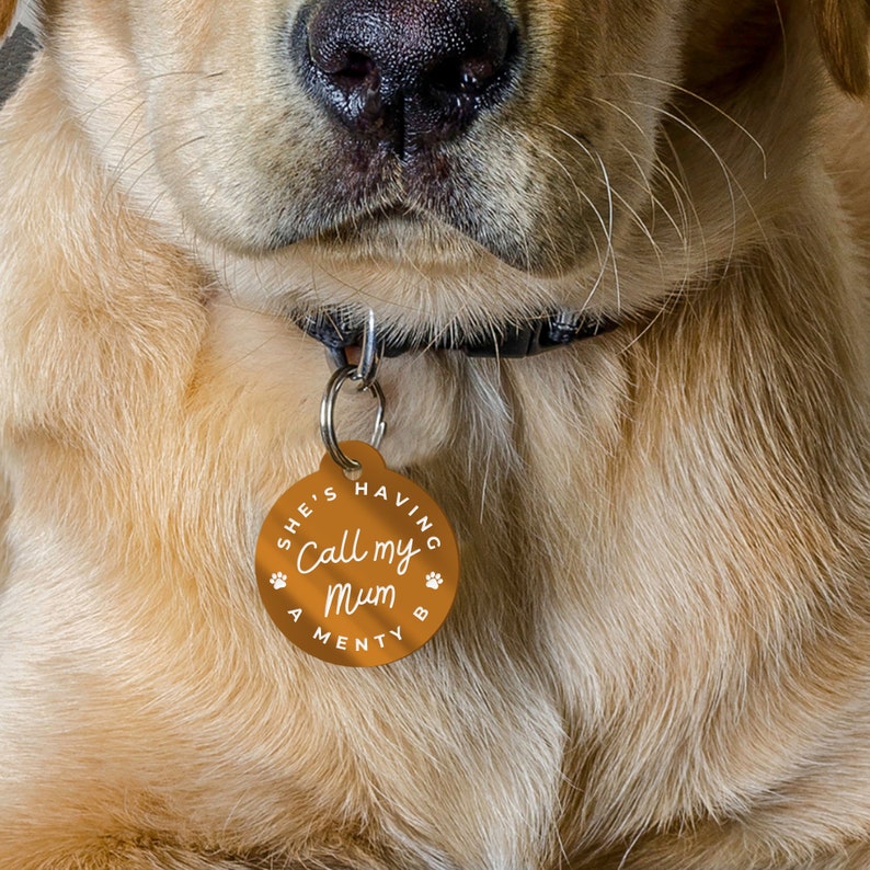 Puede incluir: Una chapa redonda y naranja para mascotas con el texto "She's having a Menty B Call my Mum" en blanco. La chapa est&aacute; sujeta a un collar negro en un golden retriever. El pelaje del perro es de color dorado claro.
