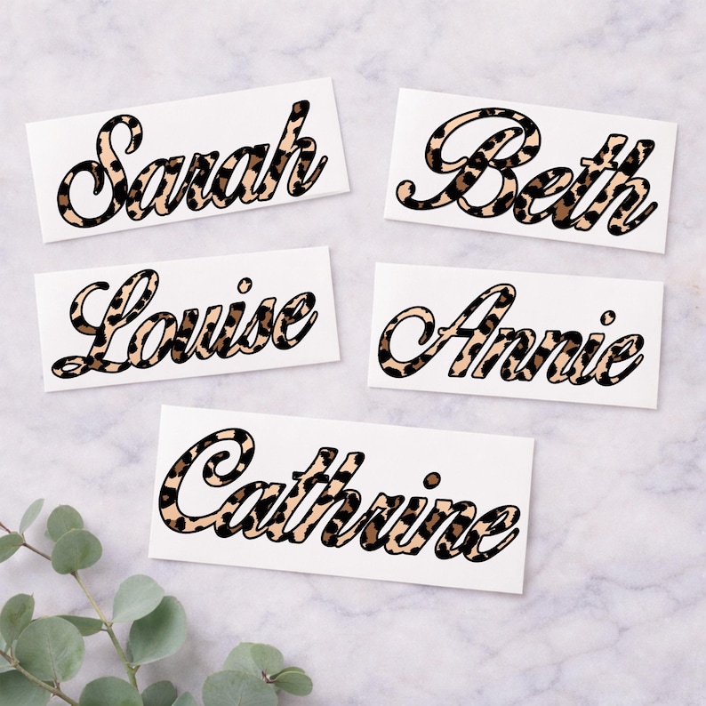 May include: Five white rectangular stickers with names in a cursive font. The names are Sarah, Beth, Louise, Annie, and Catherine. The letters are filled with a brown and tan leopard print pattern, outlined in black.