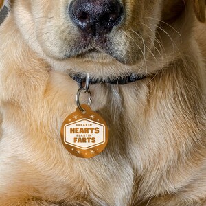 May include: A close-up of a Golden Retriever wearing a brown and white pet tag. The tag has the words "BREAKIN' HEARTS BLASTIN' FARTS" in a white, retro-style font. The dog has light brown fur and a black collar.