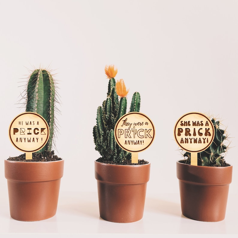 Break Up / Divorce Gift - A Prick Anyway Plant Tag - Funny Small Present, Thoughtful Gift For Family & Friends (3 Pronouns Available) image 2