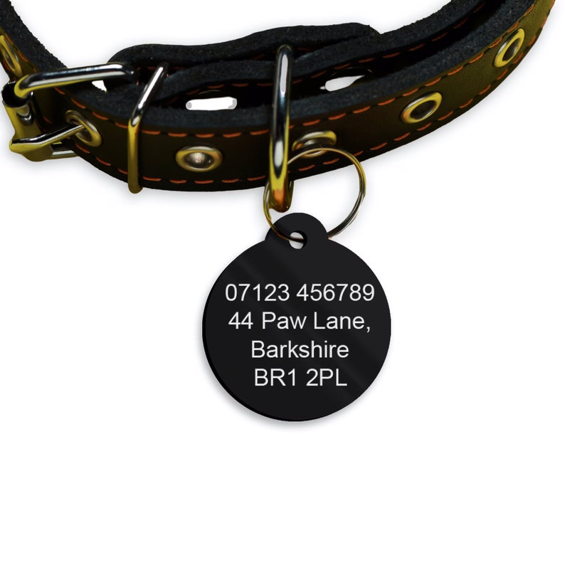 May include: Black round dog tag with white text. The text reads: 07123 456789, 44 Paw Lane, Berkshire, BR1 2PL.