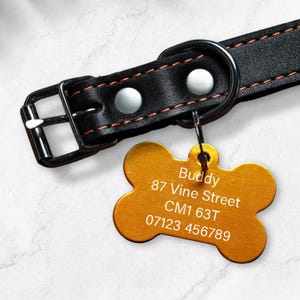 May include: Gold bone-shaped dog tag with the text "Buddy", "87 Vine Street", "CM1 63T", and "07123 456789" engraved on it. The tag is attached to a black leather dog collar with silver hardware.