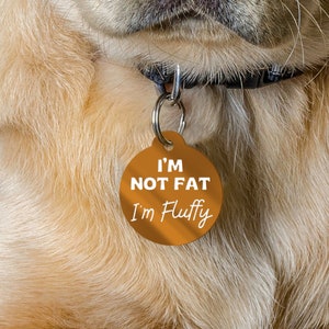funny dog collar tag, engraved pet tag, custom dog ID tag, personalised dog tag, pet accessories, dog safety tag, custom engraved tag, pet identification, unique dog tag, customisable pet tag, pet owner humour, adorable dog tag.