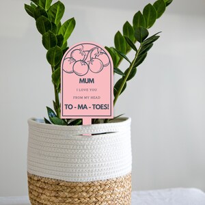 Pu&ograve; includere: Marcatore di pianta rosa con un mazzo di pomodori e il testo "MUM I LOVE YOU FROM MY HEAD TO-MA-TOES!"