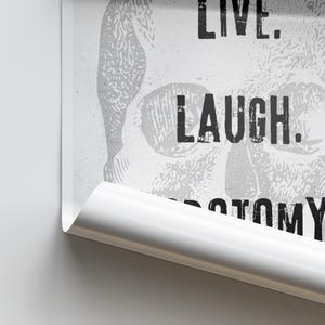 Puede incluir: Ilustraci&oacute;n en blanco y negro de una calavera con el texto "Live. Laugh. Love. Repeat." impreso sobre un fondo blanco.