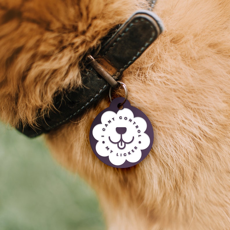 May include: A purple dog tag with white text that reads "I can't control my licker". The tag is attached to a brown leather dog collar.
