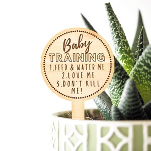 May include: A round wooden plant stake with the words "Baby Training" and care instructions: "1. Feed & Water Me, 2. Love Me, 3. Don't Kill Me!" The stake is in a green and white patterned pot with a succulent plant.
