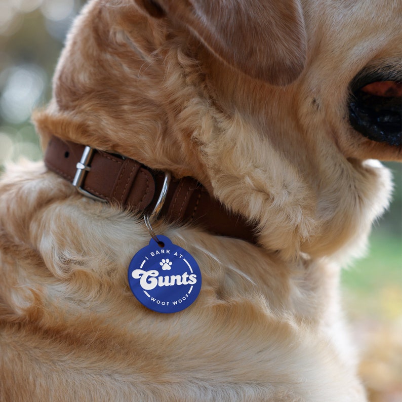Op de afbeelding: Een golden retriever met een bruine leren halsband en een blauwe hondenhanger met de tekst "I bark at Cunts woof woof".