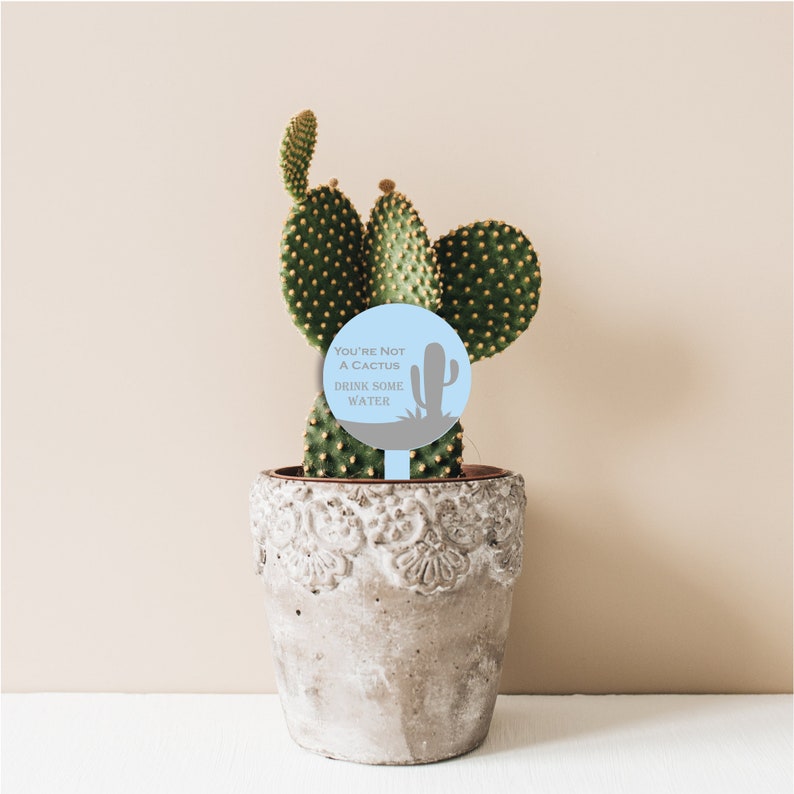 May include: A light blue round sign with the text "You're not a cactus, drink some water" and a gray silhouette of a cactus. The sign is stuck in the soil of a potted cactus plant.
