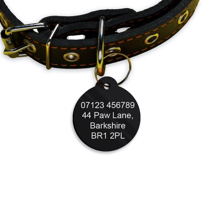 May include: Black round dog tag with white text. The text reads: 07123 456789, 44 Paw Lane, Berkshire, BR1 2PL.
