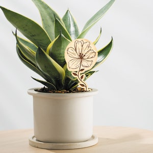 May include: A potted snake plant with a wooden flower plant marker. The marker is a light brown color with a dark brown outline of a flower.