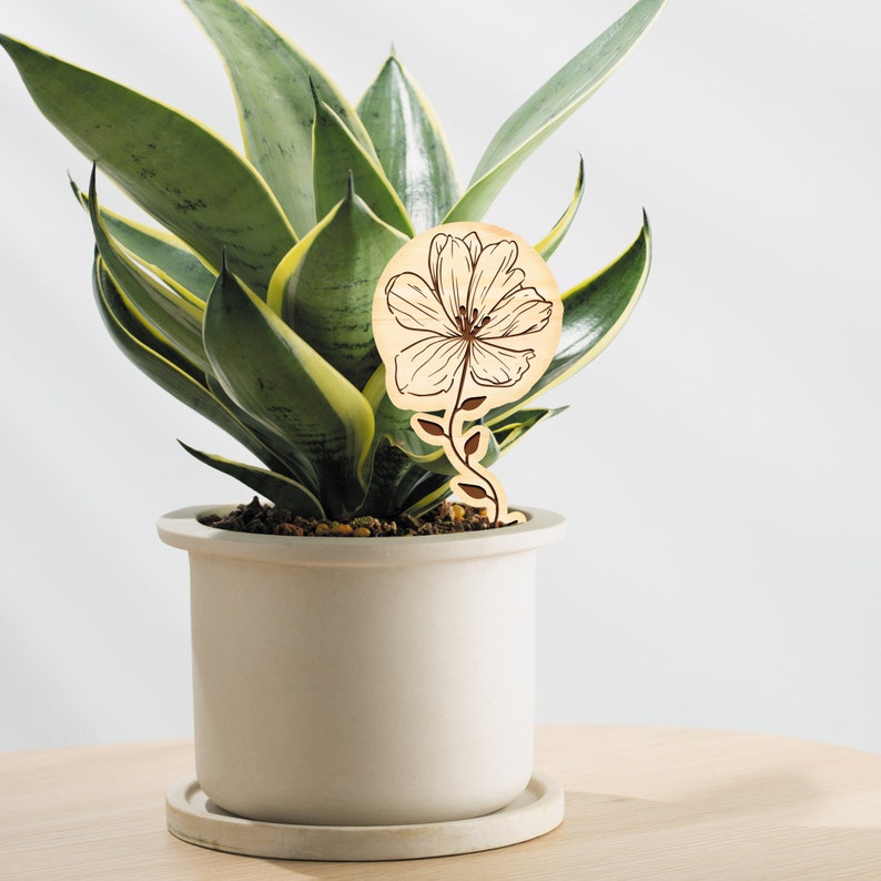 May include: A potted snake plant with a wooden flower plant marker. The marker is a light brown color with a dark brown outline of a flower.