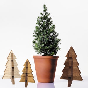 May include: Three wooden Christmas tree ornaments in different sizes. The largest ornament is brown, the middle ornament is light brown, and the smallest ornament is a light wood color. The ornaments are sitting on a white surface in front of a potted evergreen tree.