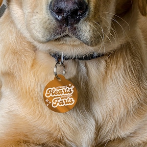 May include: A gold dog tag with the text "Breakin' Hearts Bustin' Farts" in white lettering.