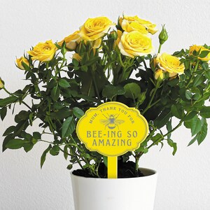 May include: Yellow rose bush with a yellow sign that says "Mum, thank you for bee-ing so amazing". The sign has a small bee illustration.