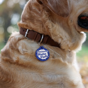 Op de afbeelding: Een golden retriever hond met een bruin leren halsband met een ronde blauwe hondenhanger waarop in witte letters met witte sterren "Handsome Mutha Fluffa" staat.
