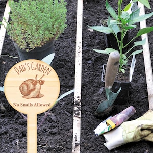 May include: A wooden garden stake with a round sign that says "Dad's Garden No Snails Allowed". The sign features a cartoon snail wearing sunglasses. The stake is in a garden bed with soil and plants.