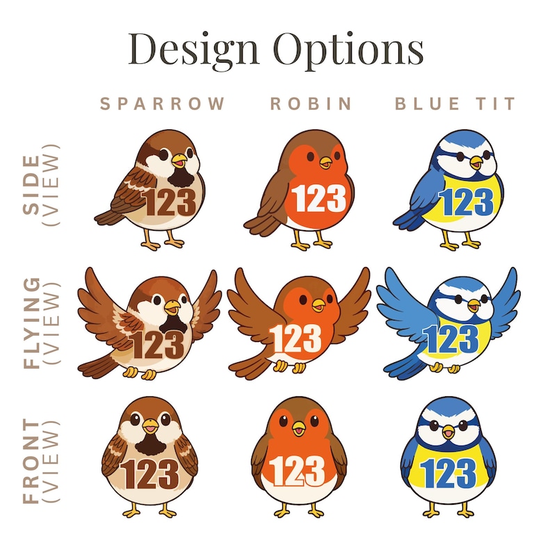 Op de afbeelding: Een afbeelding met drie vogelontwerpen: mus, roodborstje en pimpelmees, elk met een "123"-ontwerp. De vogels worden in zij-, vlieg- en vooraanzicht getoond. De tekst "Design Options" staat bovenaan.