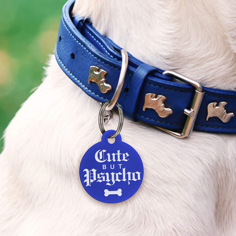 May include: Blue dog tag with white text that reads "Cute But Psycho" with a bone icon below the text. The tag is attached to a blue leather dog collar with silver accents.