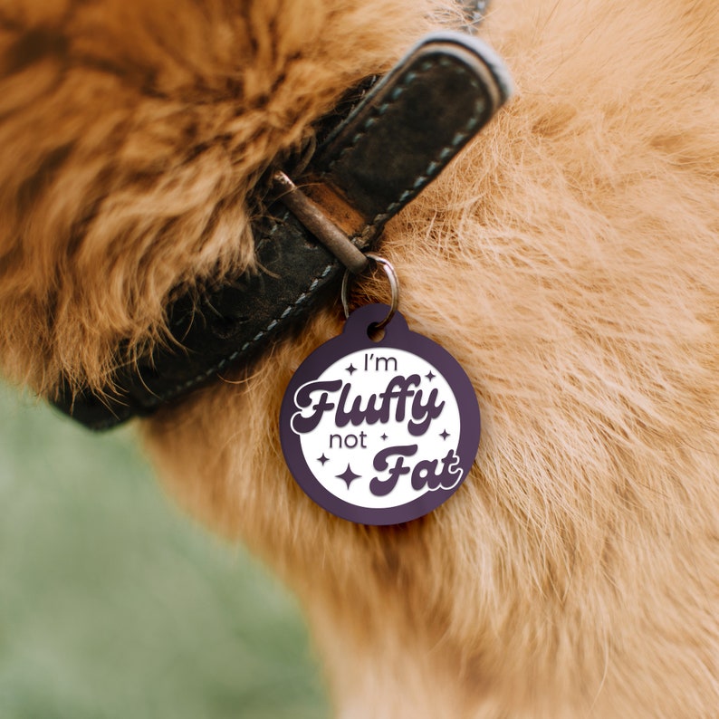 May include: A purple dog tag with white text that reads "I'm Fluffy not Fat" with white stars around the text. The tag is attached to a brown leather dog collar.